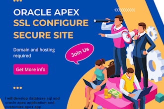develop database sql and oracle apex application and customize apex app