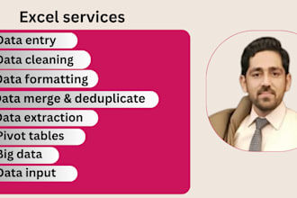 do excel data entry, big data, data extraction, web scraping