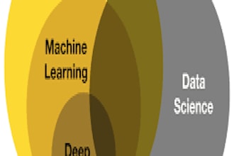provide data science and machine learning services