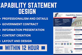 design a professional government capability statement, government contract