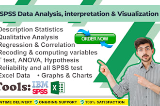 do spss data analysis, interpretation, stata coding excel