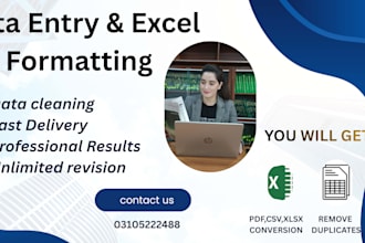 expert in excel, data entry, and spreadsheet management