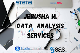 do data cleaning, visualization, analysis,  reports in stata, r, spss