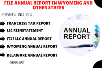 reinstate, file annual report for US llc, corporation wyoming state and delaware