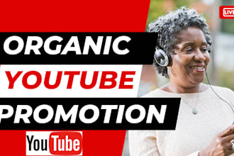 do organic USA youtube promotion, USA video promotion to USA active audience