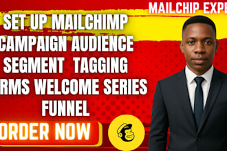set up mailchimp  campaign audience segment  tagging forms welcome series funnel
