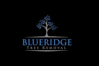 make aesthetics classic blue ridge logo