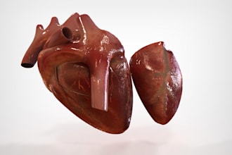 sculpt 3d medical product,3d organ,hand sculpture,toe,3d anatomy,human body,stl