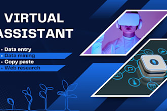your virtual assistant for data entry mining copypaste and research