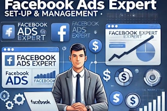 be setup facebook ads campaign and fb ads manager