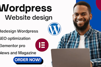 redesign wordpress news or magazine website and fix SEO and performance issues