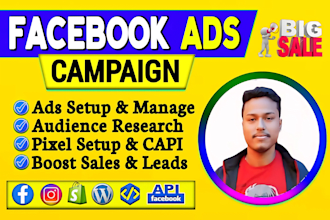 set up facebook ads campaign, marketing, advertising, run fb, ig ads for sales