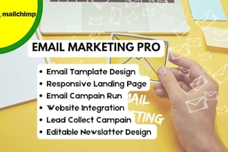design and manage professional mailchimp email campaigns
