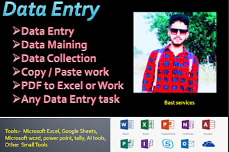 data entry export, pdf to word, pdf to excel in 24 hours