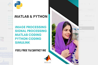 do deliver image and signal processing using matlab