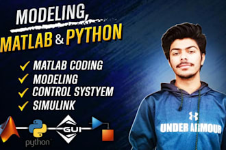 do professional matlab and labview programming