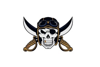 make excellent parasailing pirates logo