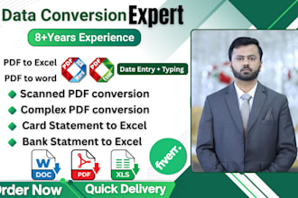 convert pdf to excel,pdf to word, data entry and typing