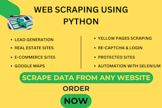 do website scraping, data mining, web scraping with python