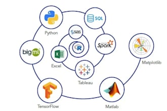 do matlab, python programming and machine learning