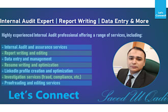internal audit expert, report writing, data entry and more