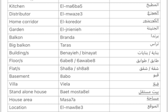 teach levantine arabic for nonnative speakers professionally