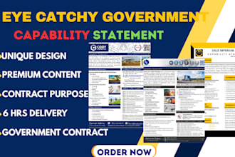 design government capability statement unique capability statement