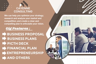 write business plan, proposals, pitch deck, financial plan for startup  business