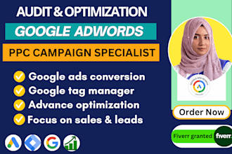 setup google ads, SEM, search ads audit and optimization with target audience