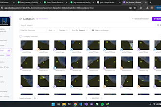 prepare custom datasets for object detection models