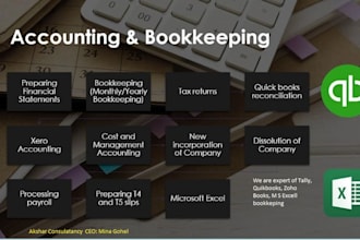 provide all types of accounting taxation investment services to US client