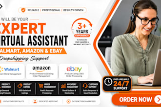 be your ecommerce VA for amazon, walmart and ebay