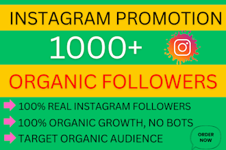 increase your instagram page followers from usa 1000 number super fast