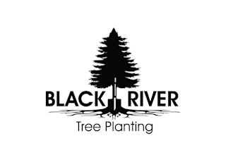make creative black river tree planting logo