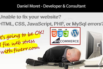 fix website bugs or errors for wordpress, bigcommerce, etc