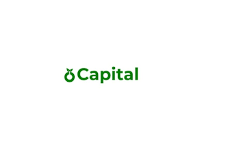 do professional and eye catchy leaf logo design for your brand