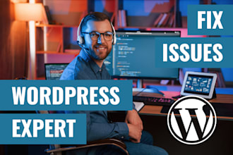 fix your wordpress website issue