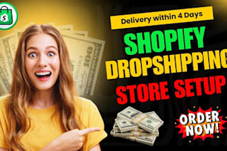design and set up a fully optimized professional shopify store