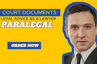 be your lawyer and paralegal