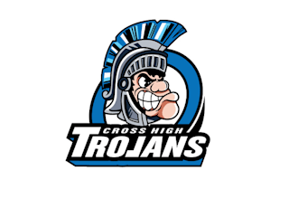 design high quality mascot school logo