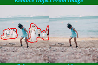 remove person or any image from remove object and add person