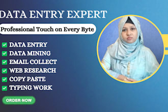 do e commerce data entry copy paste and web research
