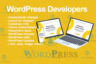 do wordpress changes, edit wordpress or wordpress customization