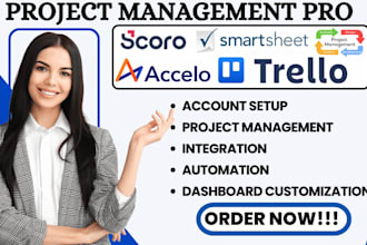 setup accello proofhub scoro automation smartsheet trello project management va