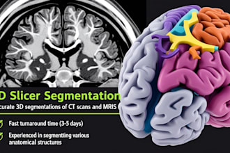 do 3d slicer segmentation of ct scans or mris