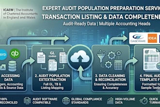 prepare audit ready financial data and ledger mapping