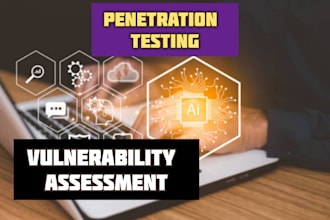 perform vulnerability assessment and penetration testing for website security
