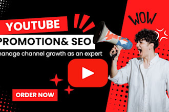 optimize your youtube video promotion, SEO, manage channel growth as an expert