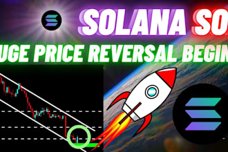 create pump fun bot, holder volume market making bot on solana and eth