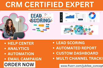 hubspot campaign reporting, custom reporting salesforce integration on hubspot